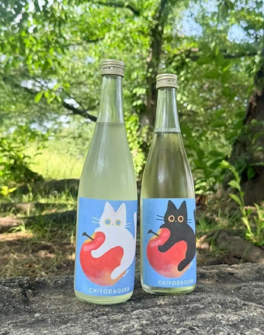 千代田蔵 しろねこ&くろねこ