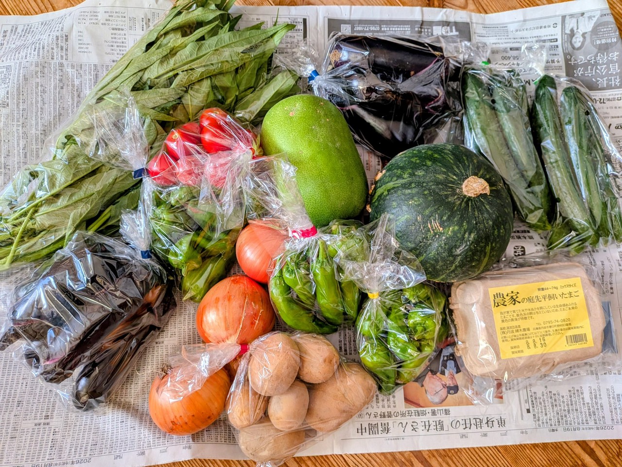 婦木農場元気野菜セット